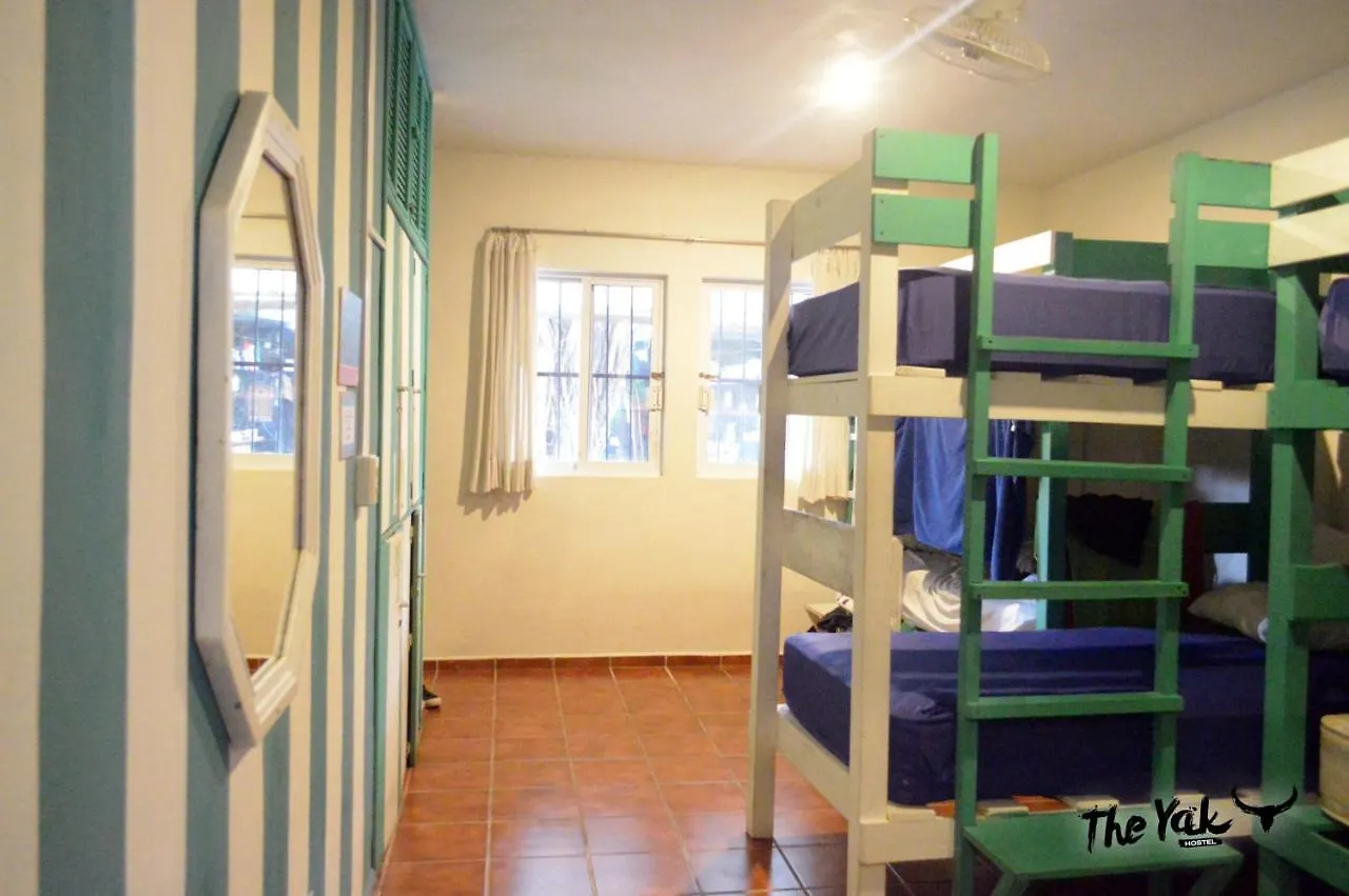 The Yak Hostel Playa del Carmen