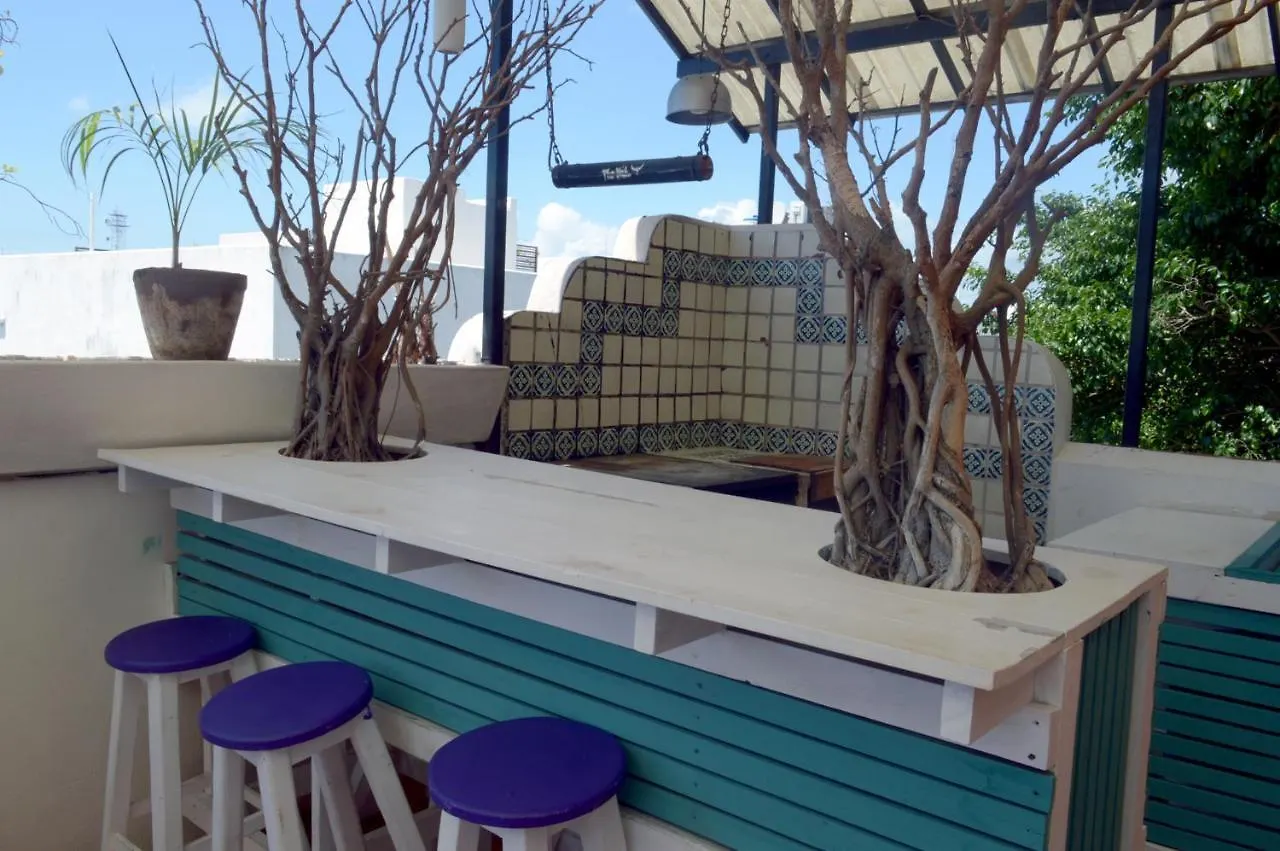 The Yak Hostel Playa del Carmen 0*,
